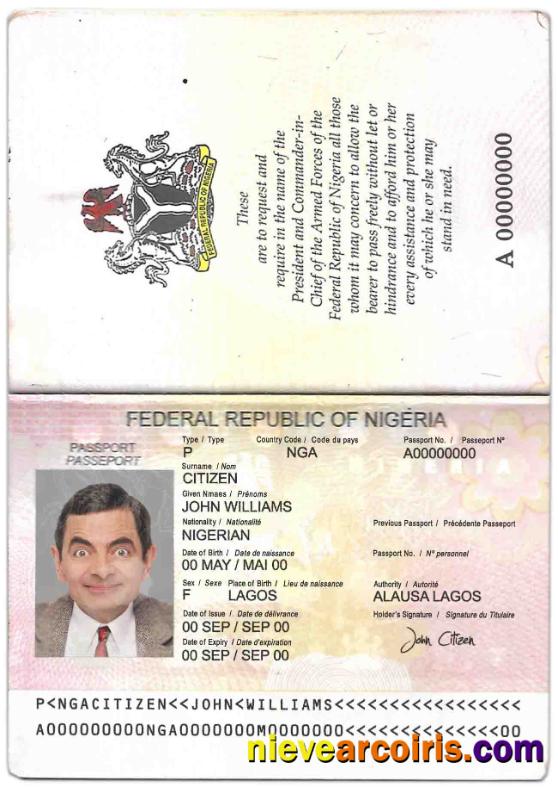 Nigeria passport 2007-2019